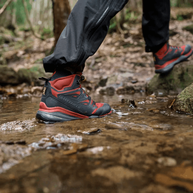 N6821122 scarponcini da trekking da uomo Helly-Hansen ombra tranquilla