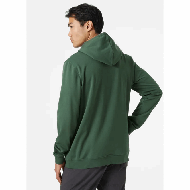 N682783 felpa con cappuccio pullover con grafica nord da uomo Helly-Hansen canyon