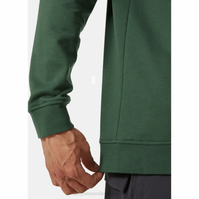 N682783 felpa con cappuccio pullover con grafica nord da uomo Helly-Hansen canyon