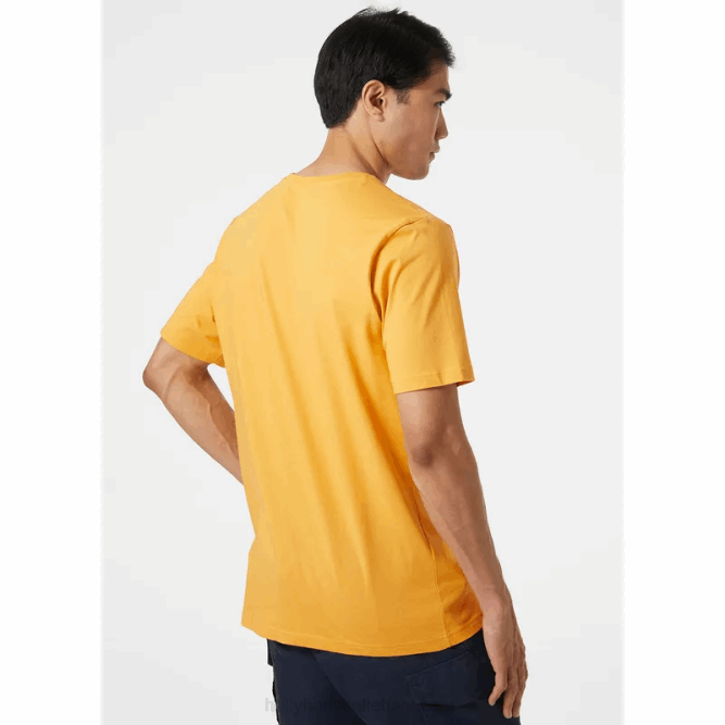 N682850 t-shirt da uomo con logo hh Helly-Hansen nevicare