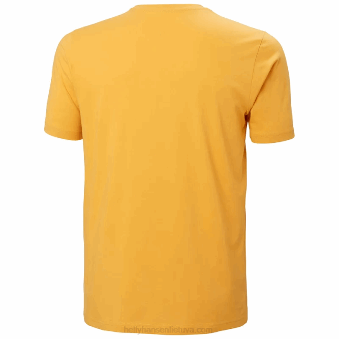 N682850 t-shirt da uomo con logo hh Helly-Hansen nevicare