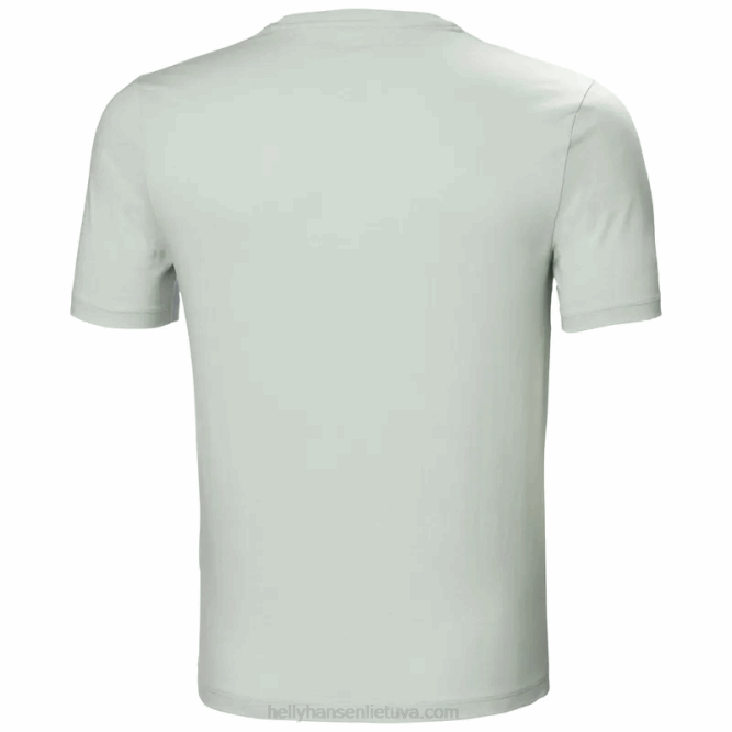 N682888 t-shirt da uomo in cotone biologico f2f Helly-Hansen bianco
