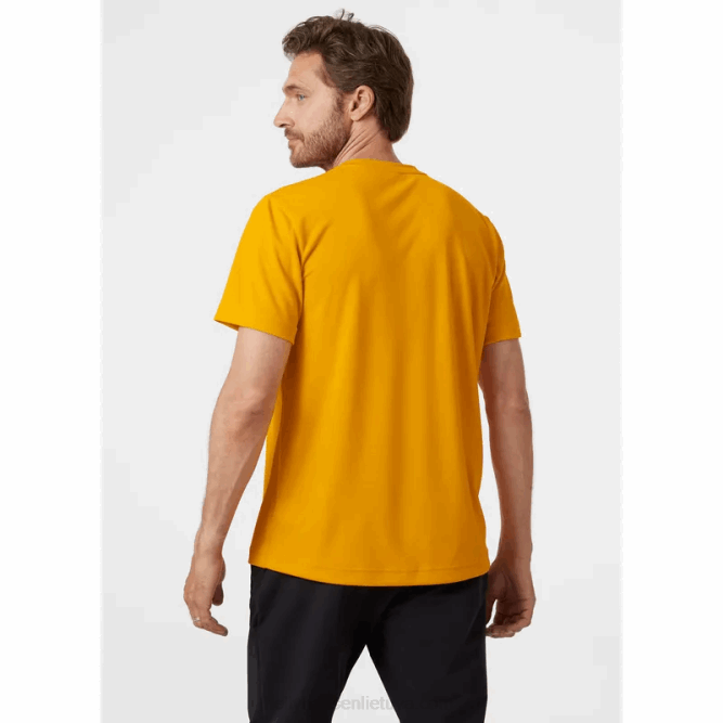 N682929 t-shirt da uomo in tonalità verglas Helly-Hansen giada