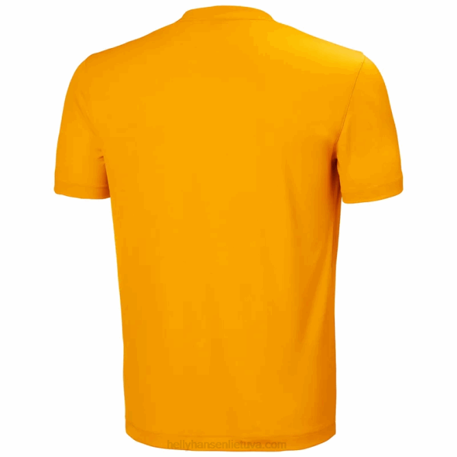 N682929 t-shirt da uomo in tonalità verglas Helly-Hansen giada